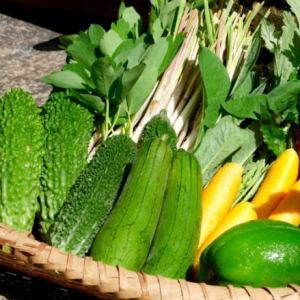 Charcoal-fired Okinawan island vegetables! "Island-grilled vegetables"