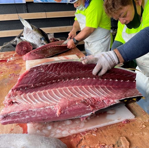 TERUMA's famous tuna cutting show! Directly delivered from Yonashiro fishing port! Extremely fresh! A spectacular performance