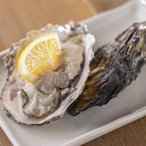 旬の食材を使用した日替り