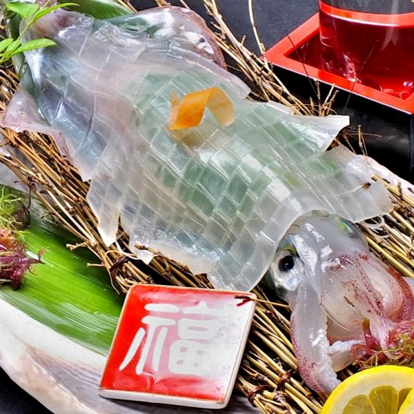 [Shipped directly from Yobuko] Live squid sashimi (with post-sashimi)!