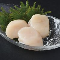 Scallops