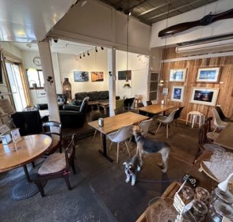 Table seating available according to the number of people.There are two tables for four people (up to five people), and the tables can be joined to accommodate up to 10 people.Pets are allowed inside the store, so you can stop by in between walks.