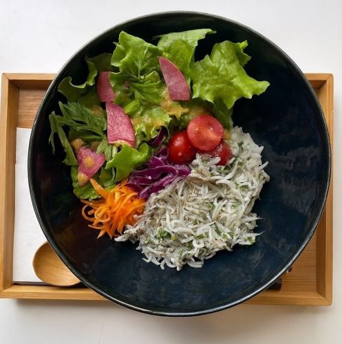 海風香草發酵銀魚沙拉碗