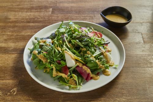 三浦蔬菜沙拉配特制蔬菜酱