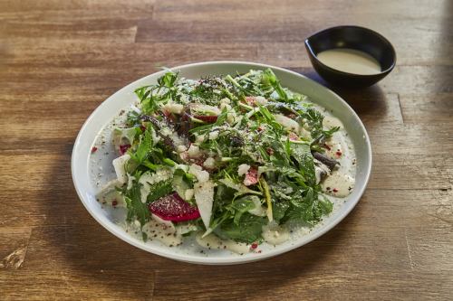 三浦蔬菜凯撒沙拉