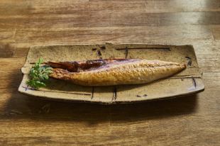 叶山鲭鱼养殖干烤