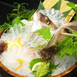 Freshly caught sea bream served as sashimi, salt-grilled, boiled, or steamed in sake.