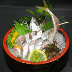 Live caught horse mackerel sashimi/seared/fried/grilled with salt