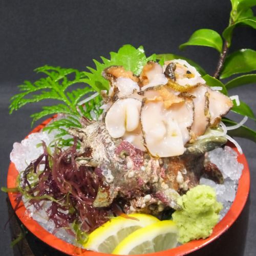 Turban shell sashimi/Turban shell grilled in a jar each