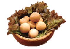 うずらのピクルス　～燻製オイル～