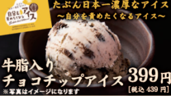 チョコチップ入り 牛脂アイス