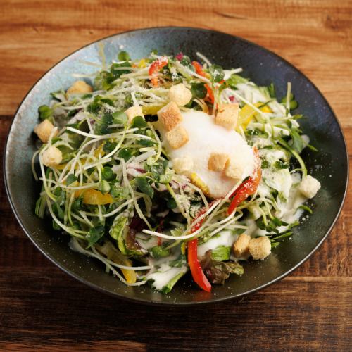 溫暖的球凱撒沙拉