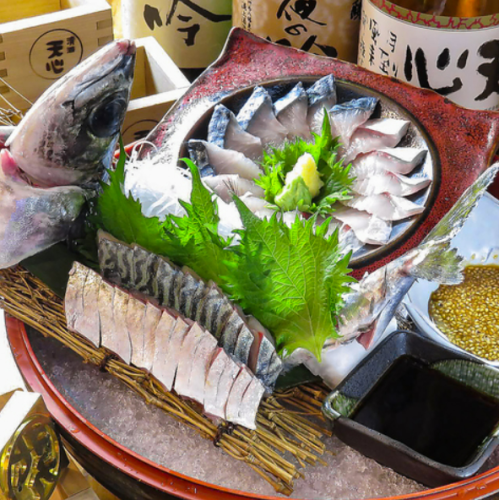 【名物】東京では珍しい、「泳ぎ」サバ姿造り (一匹)/(半身)