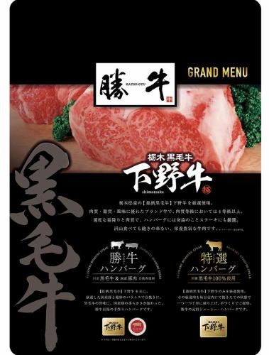 Tochigi Japanese Black Beef [Shimono Beef]