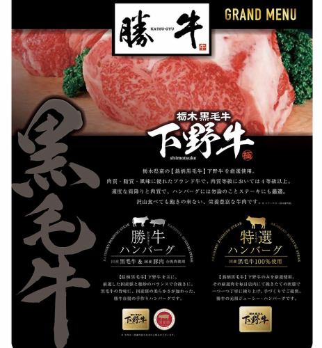 Tochigi Japanese Black Beef [Shimono Beef]