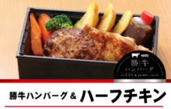 Katsuushi Hamburg Steak & Half Chicken