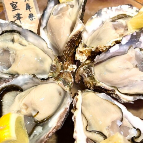 【当店一番人気★】生牡蠣産直3種食べ比べセット1680円（税込）より※産地によって前後致します