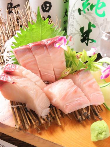 Providing fresh seafood from Setouchi