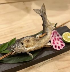 Ayu (sweetfish) grilled in the primitive style