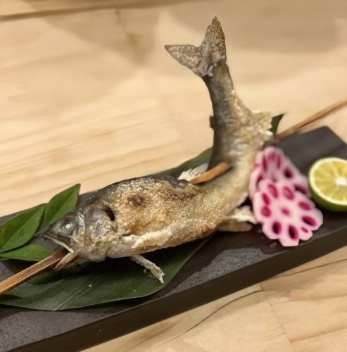 Ayu (sweetfish) grilled in the primitive style