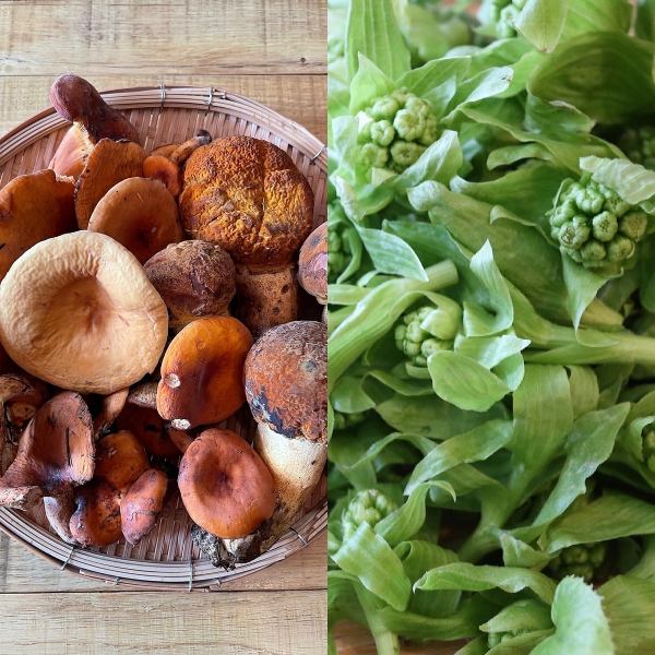 山の恵み天然の山菜、きのこ、川魚料理