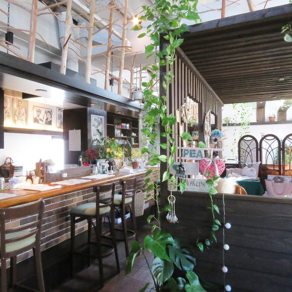 ライブ感が楽しめるカウンター席と、ゆったりくつろげるテーブル席を完備しています。お一人様でのサク飲みはもちろん、大切な人とのデートや記念日、気心知れた友人との女子会、ご家族連れのお食事まで、様々なシーンに柔軟に対応いたします◎本場の味とアルコールにこだわったタイ料理を囲めば、会話も自然と弾みます♪