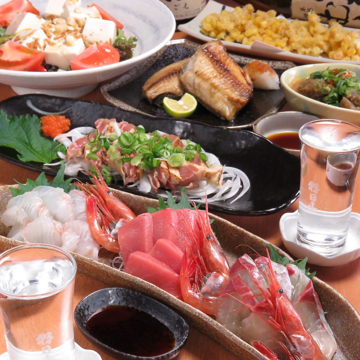 [New OPEN] A shop where you can enjoy authentic seafood and sake ♪