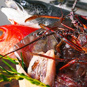 【本鮪×岩手県産キンキ】たちうお堪能SPECIAL コース◎『日本酒全種含む2H飲み放題付』