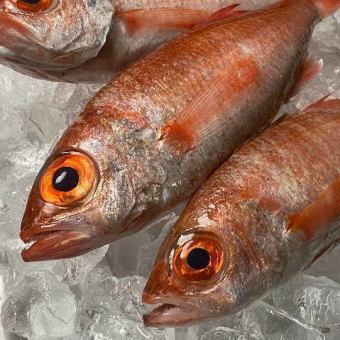 【新鮮直送魚×優質魚,黑喉海鱸】大鳀特級套餐◎“包含2小時暢飲,含所有清酒種類”