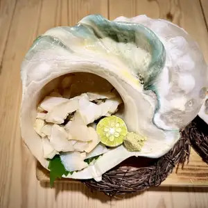 【세계 최대급】(사자에 속) 야광 조개 구조.모토부쵸산