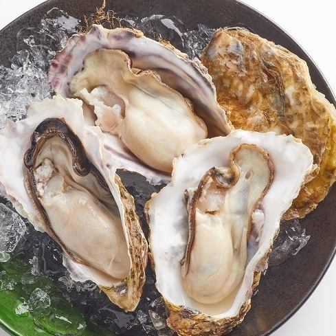 Exquisite! Akkeshi oysters start from 299 yen each