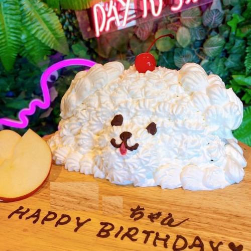 誕生日、記念時に最適◎