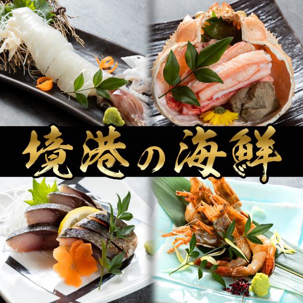 【NEW】境港直送の海鮮が旨い！山陰地方が誇る素材そのままの味をご堪能下さい！