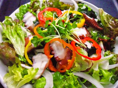 Kotoirodori Vegetable Salad / Salmon Salad