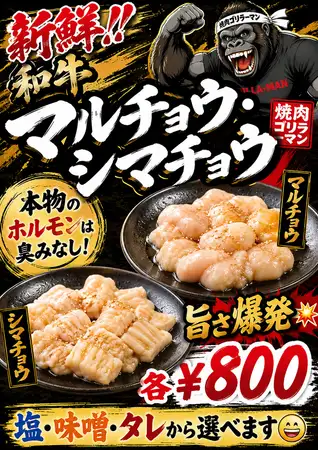 シマチョウ(大腸)