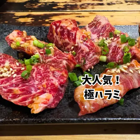【超おすすめ】極！！「ゴリラーマン」天下一ハラミ(並)/(大盛り1.5倍)