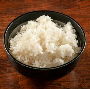ライス 大