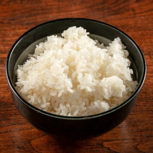ライス 大