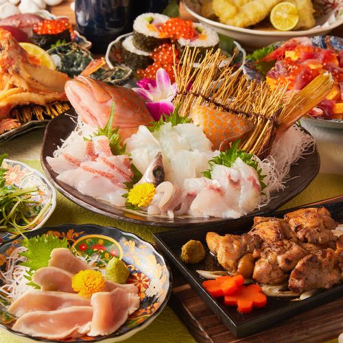 地鶏と海鮮を楽しむ大衆酒場