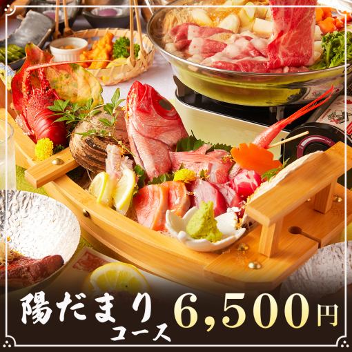 3小时畅饮 ◆ 各式奢华精致菜肴！！令人满足的11道菜套餐【向阳套餐】6500日元