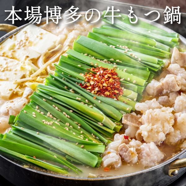 【新鮮な海鮮】季節にぴったりな鍋料理やお造りやお刺身などリーズナブルにお楽しみいただけます!