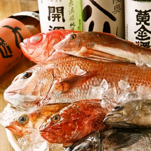 【Tsukiji gifts】 Delivery of fresh fish in the season bought early in the morning every day.