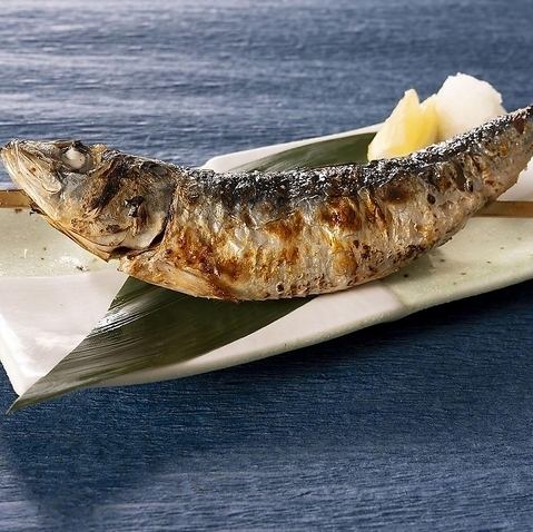 かぶりつき大トロいわし