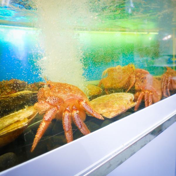 【店門口還有一個魚缸！】一進店就看到一個魚缸，裡面裝滿了大螃蟹和扇貝！本店講究新鮮度，所以值得推薦♪