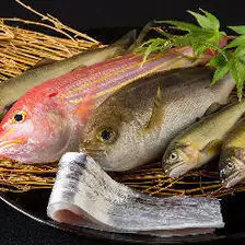 菜な 特別会席 ~A5伊万里牛サーロインと一皿ごとに季節が香る小皿会席~