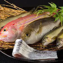 菜な 特別会席 ~A5伊万里牛サーロインと一皿ごとに季節が香る小皿会席~