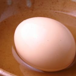Egg