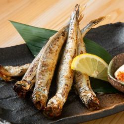 Grilled capelin with roe