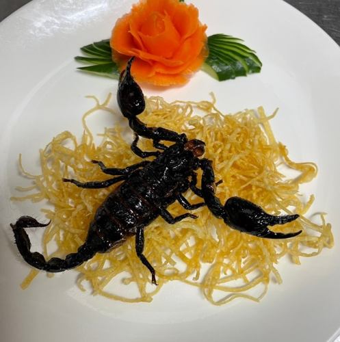 Fried scorpion