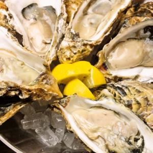 ☆本日の真牡蠣　5種食べ比べ